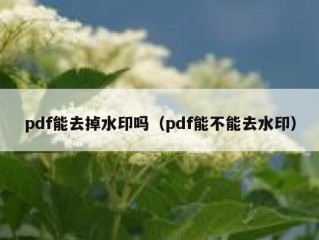 pdf能去掉水印吗（pdf能不能去水印）