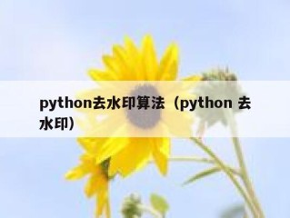 python去水印算法（python 去水印）