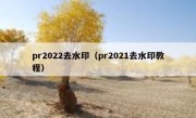 pr2022去水印（pr2021去水印教程）