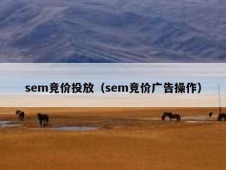 sem竞价投放（sem竞价广告操作）