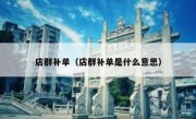 店群补单（店群补单是什么意思）