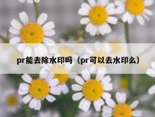 pr能去除水印吗（pr可以去水印么）