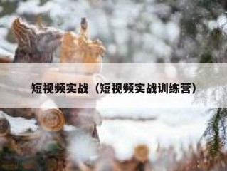 短视频实战（短视频实战训练营）