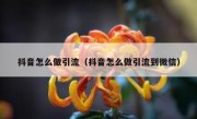 抖音怎么做引流（抖音怎么做引流到微信）