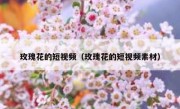 玫瑰花的短视频（玫瑰花的短视频素材）