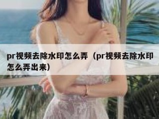 pr视频去除水印怎么弄（pr视频去除水印怎么弄出来）