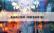 去水印上轻抖（抖音去水印 轻）