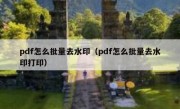 pdf怎么批量去水印（pdf怎么批量去水印打印）