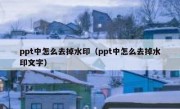 ppt中怎么去掉水印（ppt中怎么去掉水印文字）