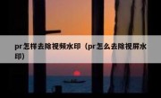 pr怎样去除视频水印（pr怎么去除视屏水印）