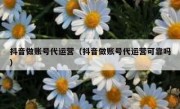 抖音做账号代运营（抖音做账号代运营可靠吗）