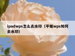 ipadwps怎么去水印（平板wps如何去水印）