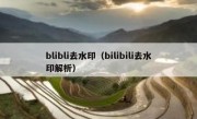 blibli去水印（bilibili去水印解析）