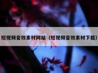 短视频音效素材网站（短视频音效素材下载）