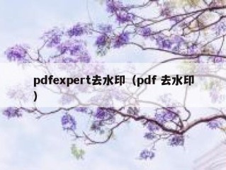 pdfexpert去水印（pdf 去水印）