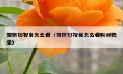 微信短视频怎么看（微信短视频怎么看粉丝数量）