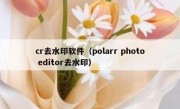 cr去水印软件（polarr photo editor去水印）