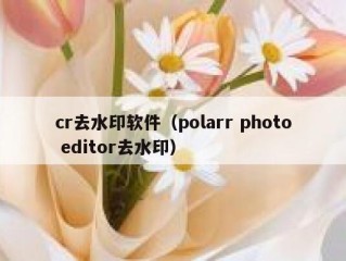 cr去水印软件（polarr photo editor去水印）