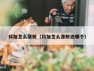 抖加怎么涨粉（抖加怎么涨粉选哪个）