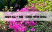 短视频怎么有收益（短视频如何赚取收益）