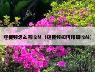 短视频怎么有收益（短视频如何赚取收益）