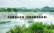 没流量怎么补单（没有流量怎么补单）