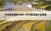 千川投流涨粉1000（千川投流是什么意思）