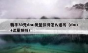 新手30元dou流量扶持怎么退出（dou+流量扶持）