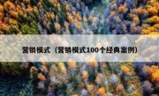 营销模式（营销模式100个经典案例）