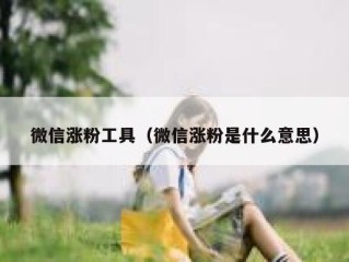 微信涨粉工具（微信涨粉是什么意思）