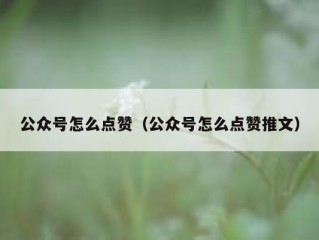 公众号怎么点赞（公众号怎么点赞推文）