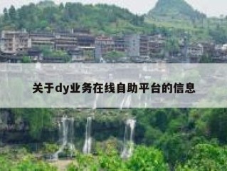 关于dy业务在线自助平台的信息