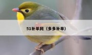 51补单网（多多补单）