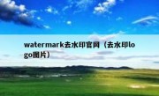 watermark去水印官网（去水印logo图片）