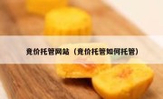 竞价托管网站（竞价托管如何托管）