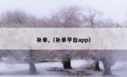 补单,（补单平台app）