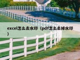 excel怎么去水印（pdf怎么去掉水印）