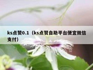 ks点赞0.1（ks点赞自助平台便宜微信支付）