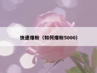 快速爆粉（如何爆粉5000）