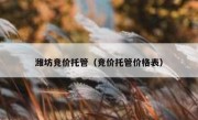 潍坊竞价托管（竞价托管价格表）