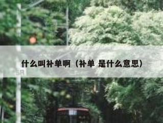 什么叫补单啊（补单 是什么意思）