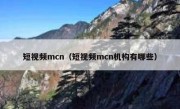 短视频mcn（短视频mcn机构有哪些）