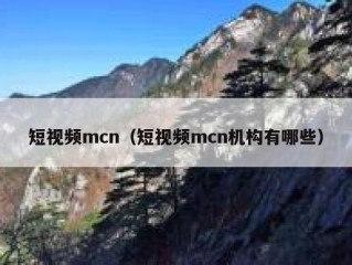 短视频mcn（短视频mcn机构有哪些）