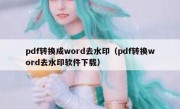 pdf转换成word去水印（pdf转换word去水印软件下载）