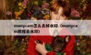 manycam怎么去掉水印（manycam教程去水印）