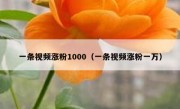 一条视频涨粉1000（一条视频涨粉一万）