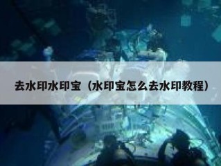 去水印水印宝（水印宝怎么去水印教程）