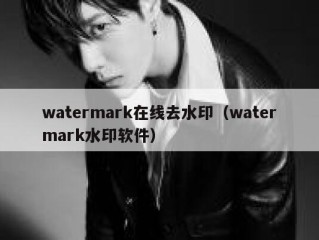 watermark在线去水印（watermark水印软件）