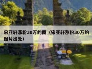 宋亚轩涨粉30万的图（宋亚轩涨粉30万的图片出处）