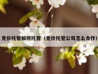 竞价托管如何托管（竞价托管公司怎么合作）